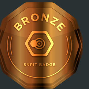 ブロンズバッジ